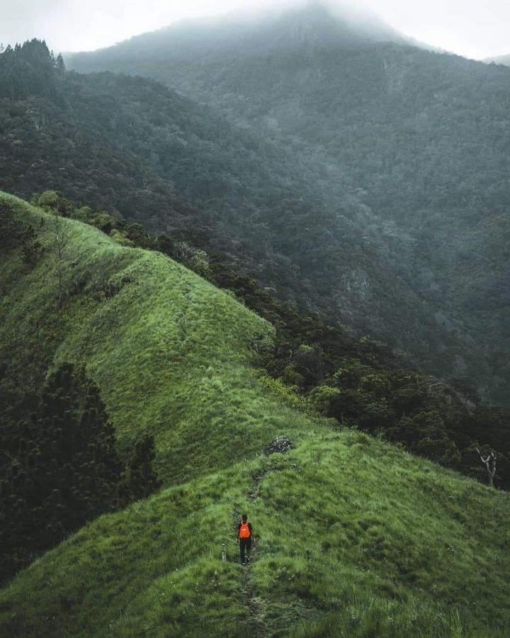 Mount View Family Rest & Cottage Haputale Luaran gambar