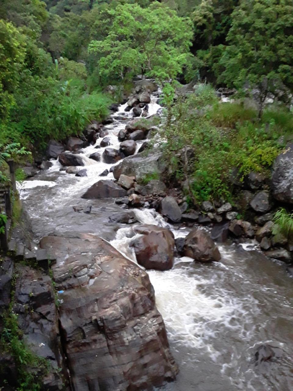 Mount View Family Rest & Cottage Haputale Luaran gambar