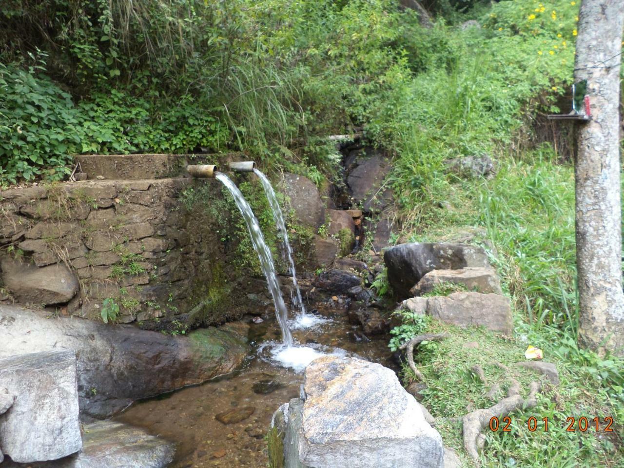 Mount View Family Rest & Cottage Haputale Luaran gambar